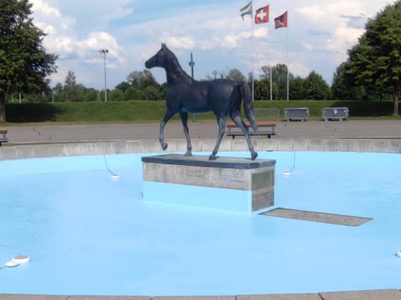 avant-fontaine-renovation-pisciflor