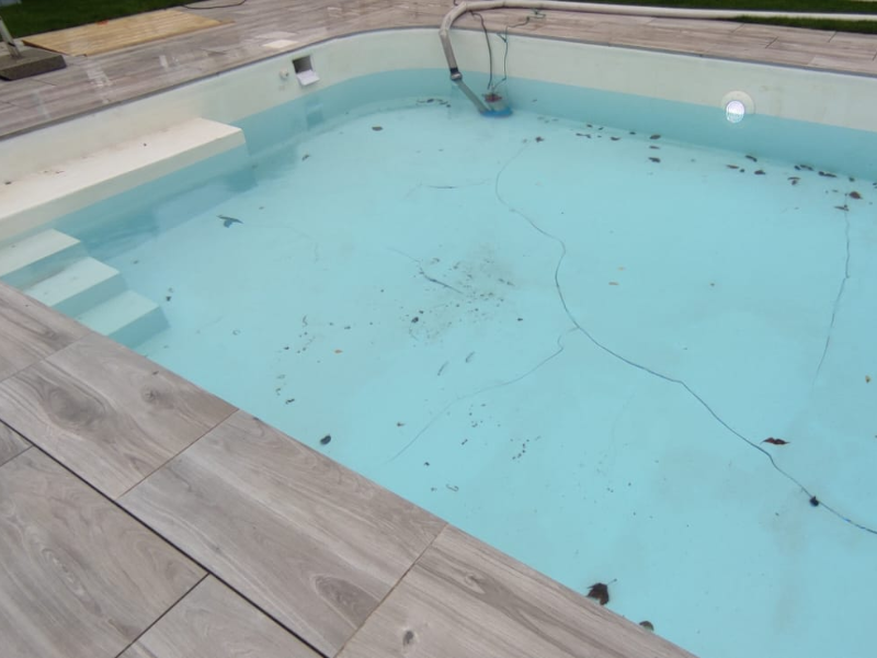avant-piscine-renovation-pisciflor